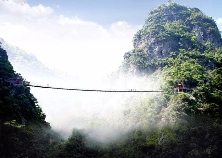 探索自然美景之旅，最新在线播放带你寻找内心的平和之地