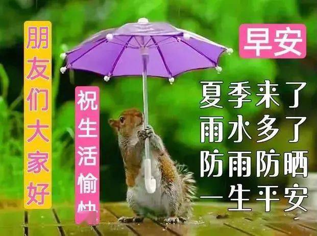 科技与生活的融合，最新问候图片增强情感表达力