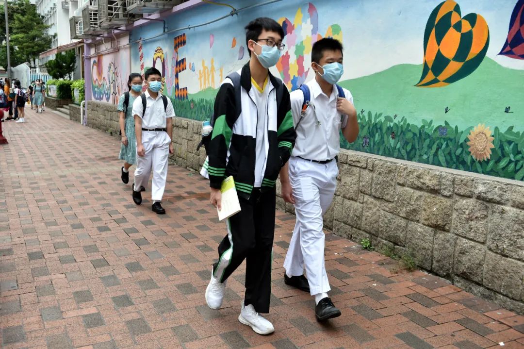 香港疫情最新动态全面解析与案例分析综述