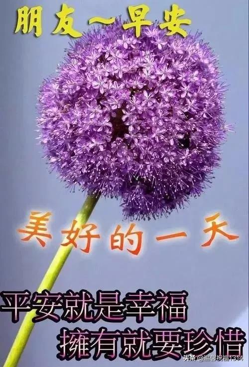 最新问候语精选，打造温馨的第一印象问候之道