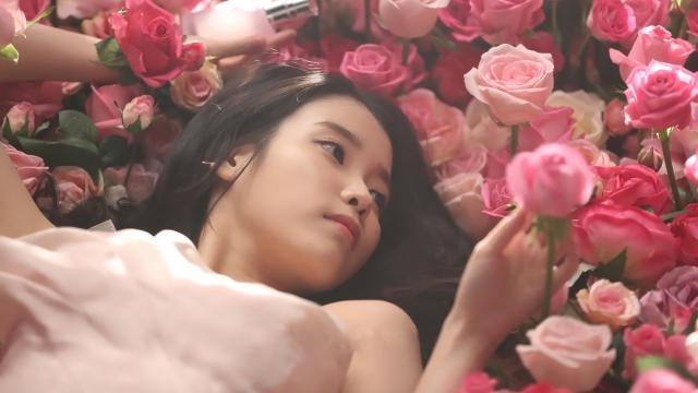 第3767页