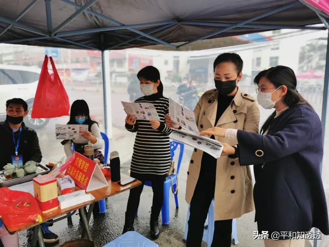 新冠最新指南，探索自然美景之旅，寻找内心的宁静与平和
