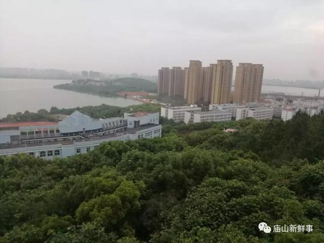 庙山科技新动态，重塑生活体验之巅