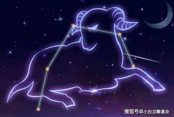 伊布最新动态，变化中的力量，自信与成就感的源泉