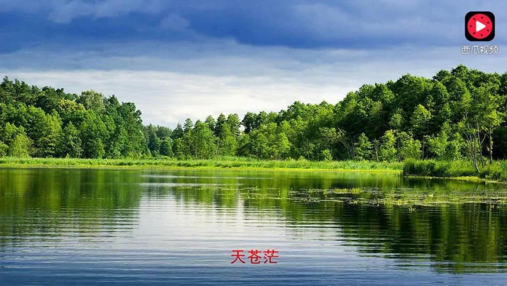 铂金最新动态，与自然美景的浪漫之旅正式启程！