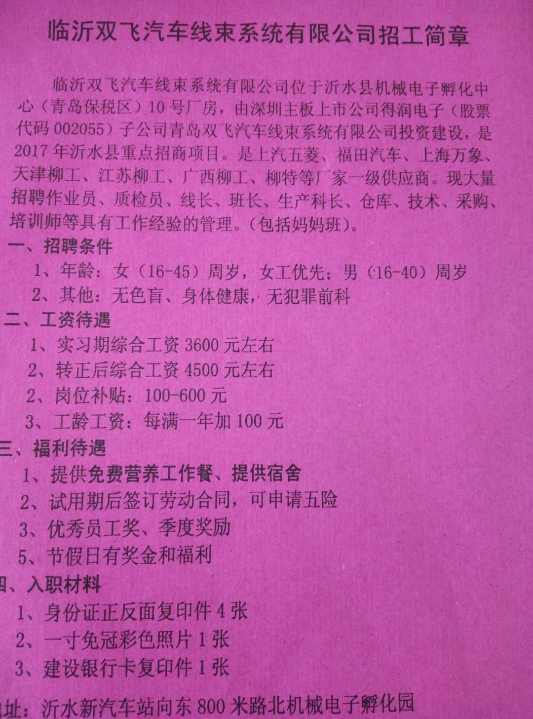 莱芜金点子最新招聘信息，求职全攻略，快速了解最新招聘动态！