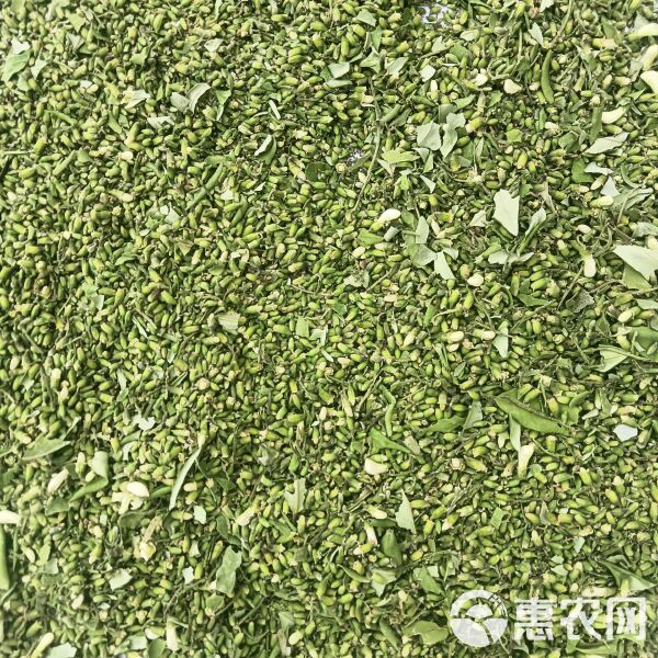 槐米行情深度解析，最新动态与市场趋势分析