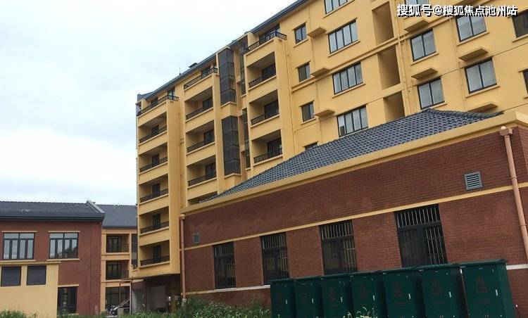 永利股份最新动态深度解析与观点阐述