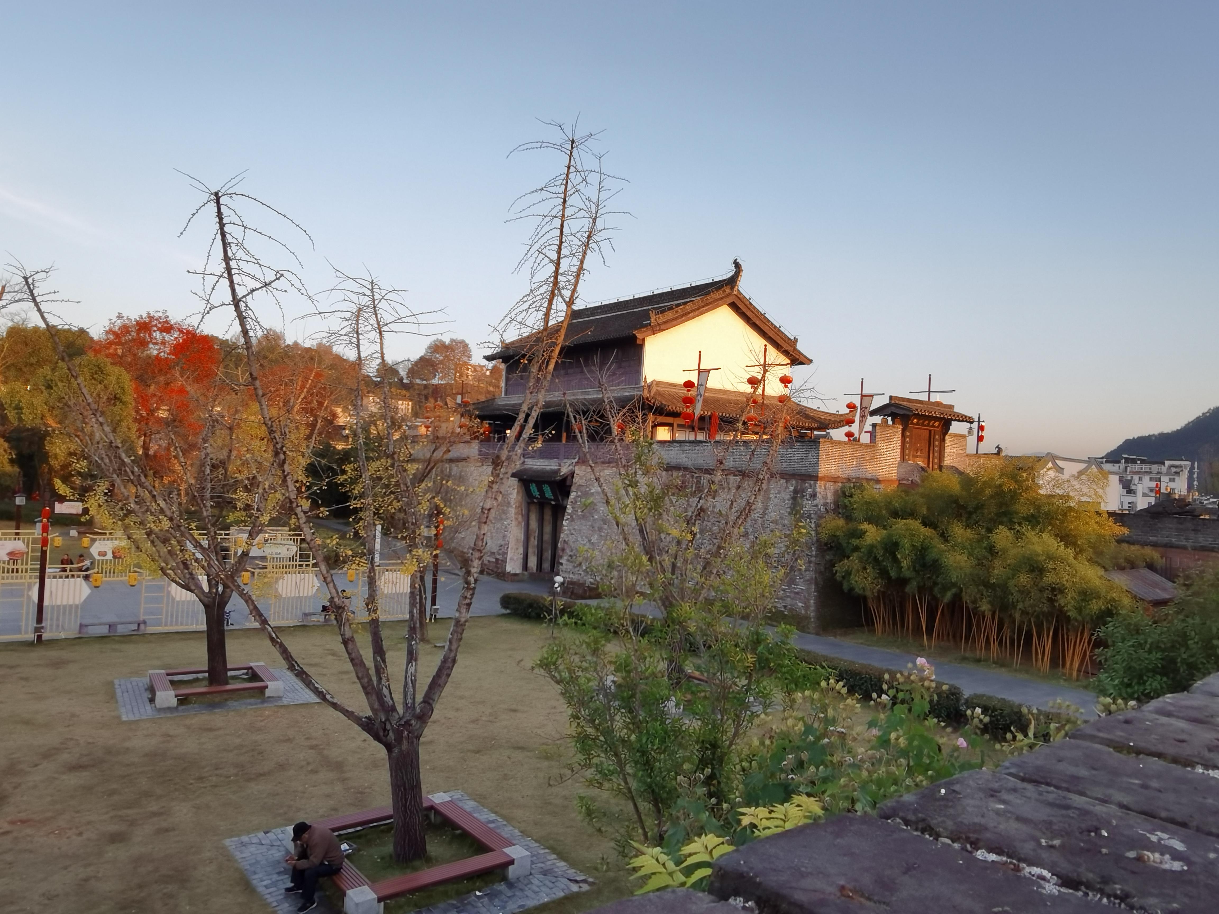最新日本动漫电影，自然美景的治愈之旅探索