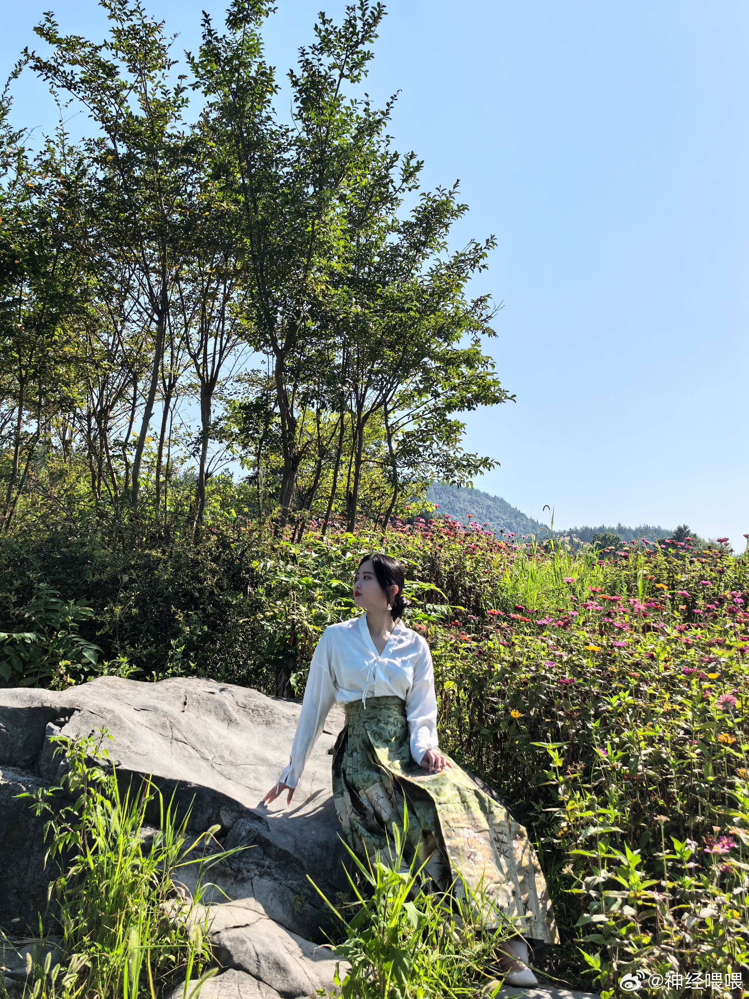 清洋最新探索，自然美景的治愈之旅