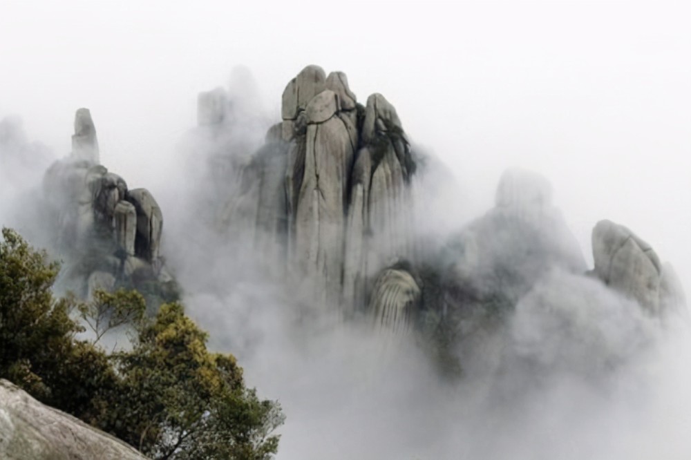 福建反腐最新动态与心灵自然之旅的双重探索