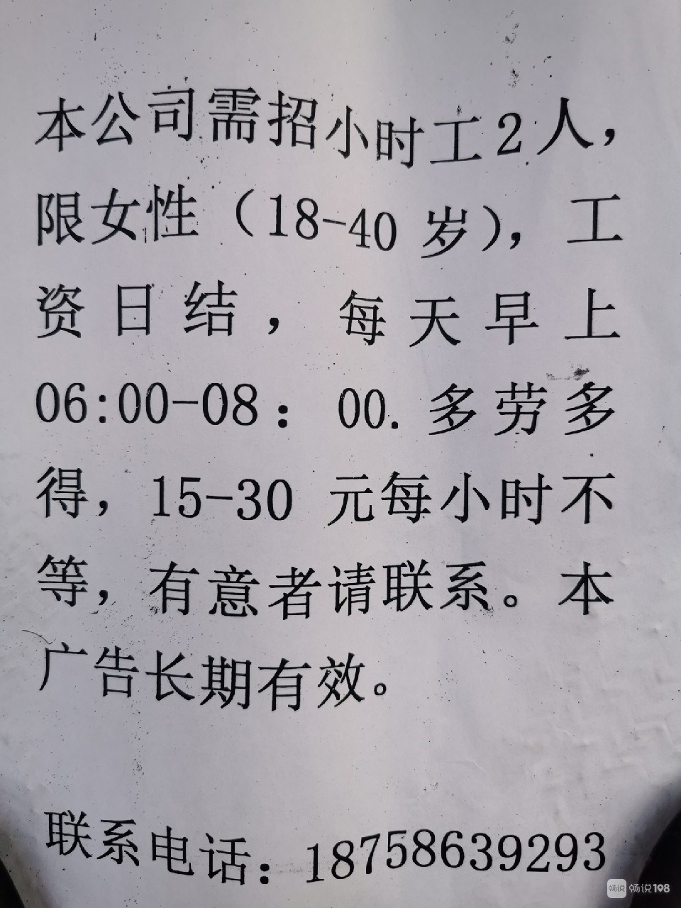 安阳最新招聘信息揭秘，小巷深处的职业宝藏