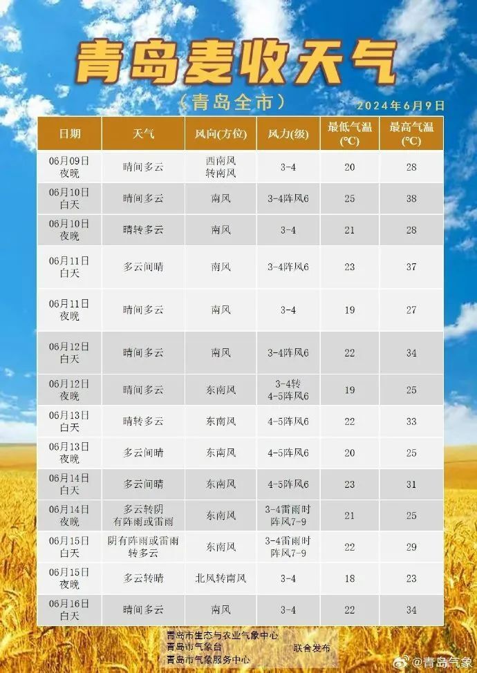 青岛台风最新消息与温馨日常应对指南
