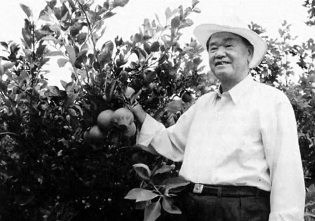 岳阳市最新干部任命公告，重磅更新！