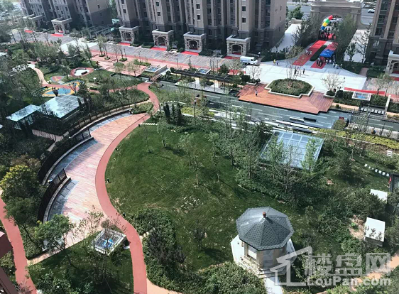 天成熙园最新动态揭秘，小巷里的隐藏宝藏，独特环境吸引探索之旅