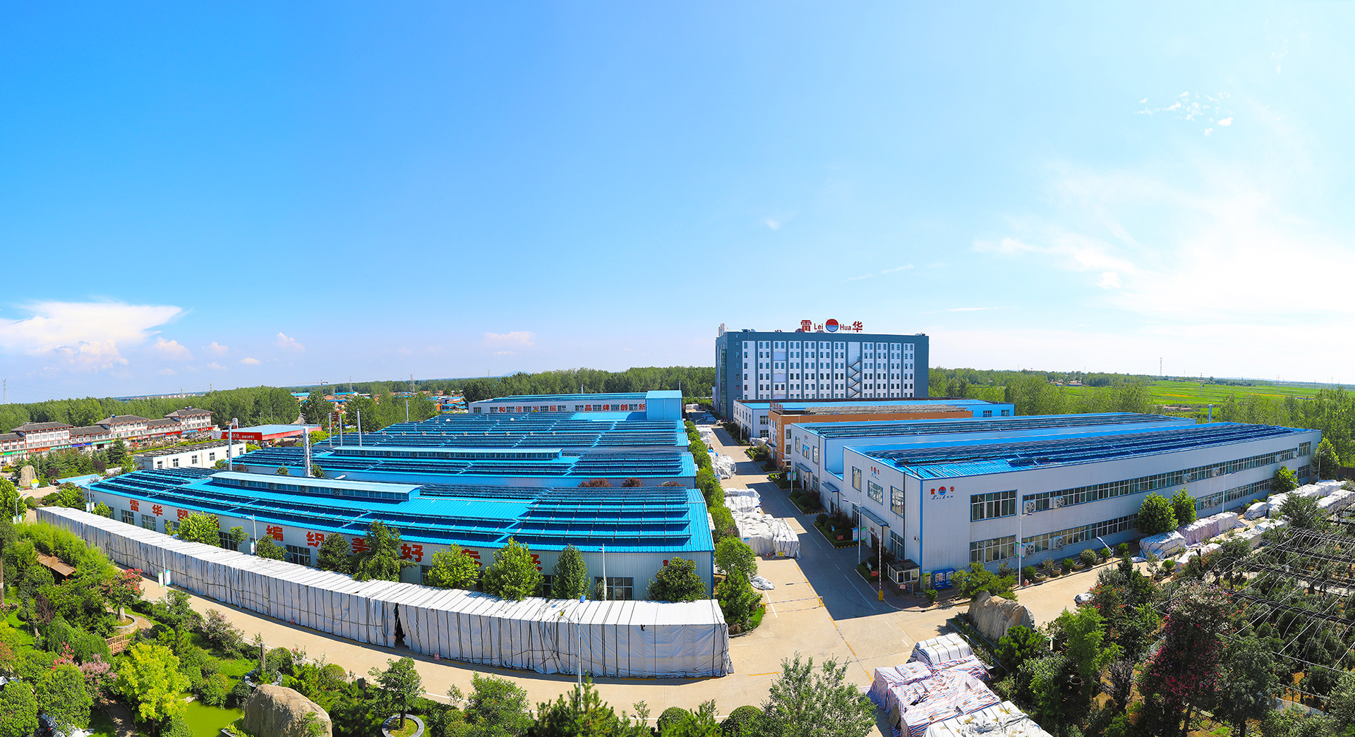 大成玉米集团，科技引领未来，全新玉米产业生态打造启动