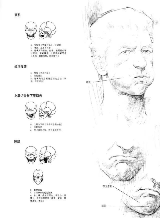 QQ头像最新发布中心，时尚潮流头像大全