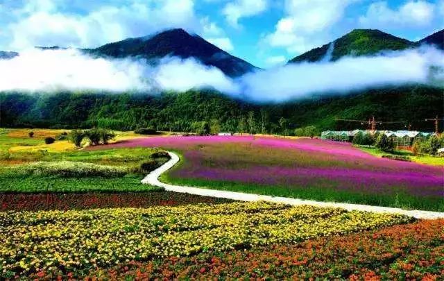 牙克石新区最新消息,牙克石新区最新消息，探索自然美景的旅行，寻找内心的平和之地