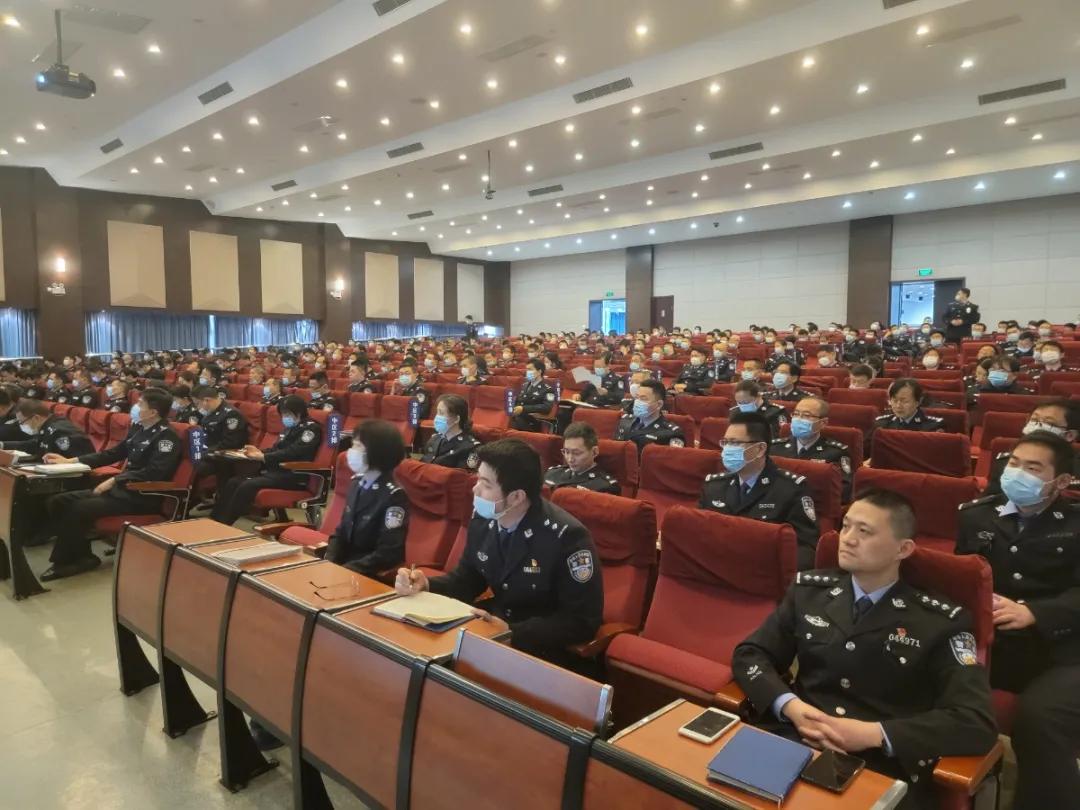 政法整顿最新动态，某某观点深度论述
