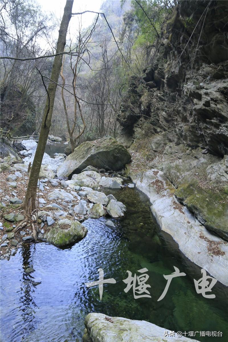 最新集资动态，自然美景探索之旅启程
