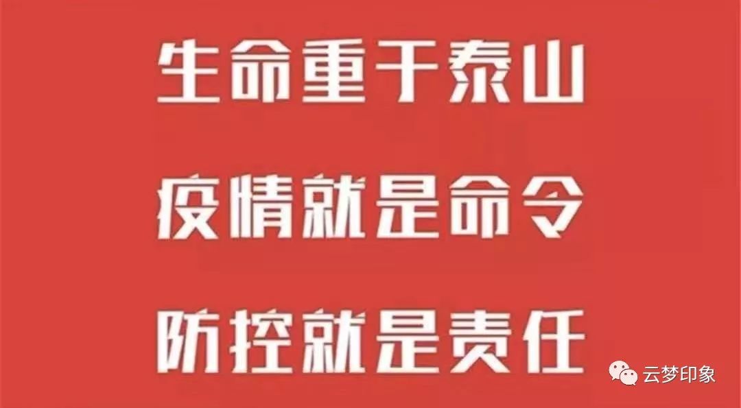 东营肺炎最新动态，时代挑战与回顾的交汇点