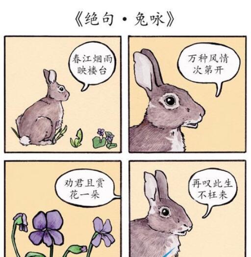 最新兔子梗,最新兔子梗，兔子的温馨日常与友情故事