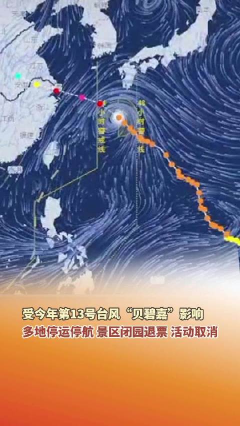 哈尔滨台风最新动态，逆风翱翔，成就无限可能