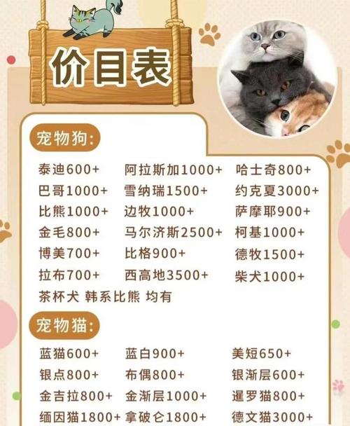 最新猫价格揭秘，养猫预算不再迷茫！