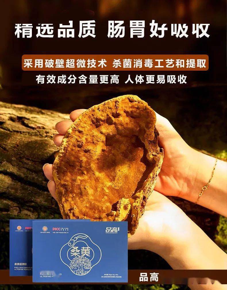科技重塑生活，体验前沿高科技产品之桑黄最新探索