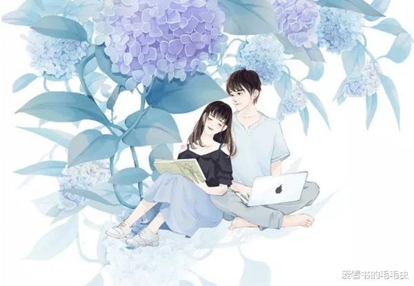 半截白菜小说最新探析，背景、事件与文学地位揭秘