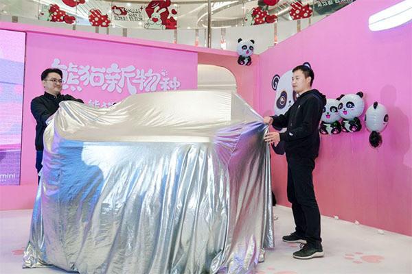 最新熊猫报价，科技巅峰之作，重塑生活体验