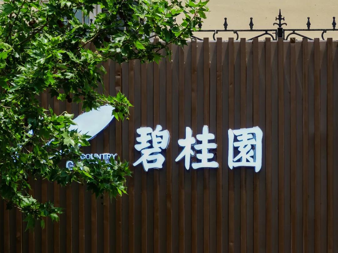 机构最新评级深度解析，背景、影响与地位探讨