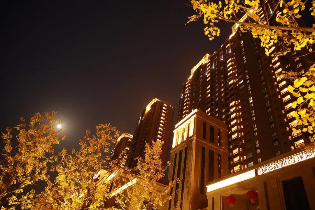 郑州北区最新楼盘市场现状与前景展望探析